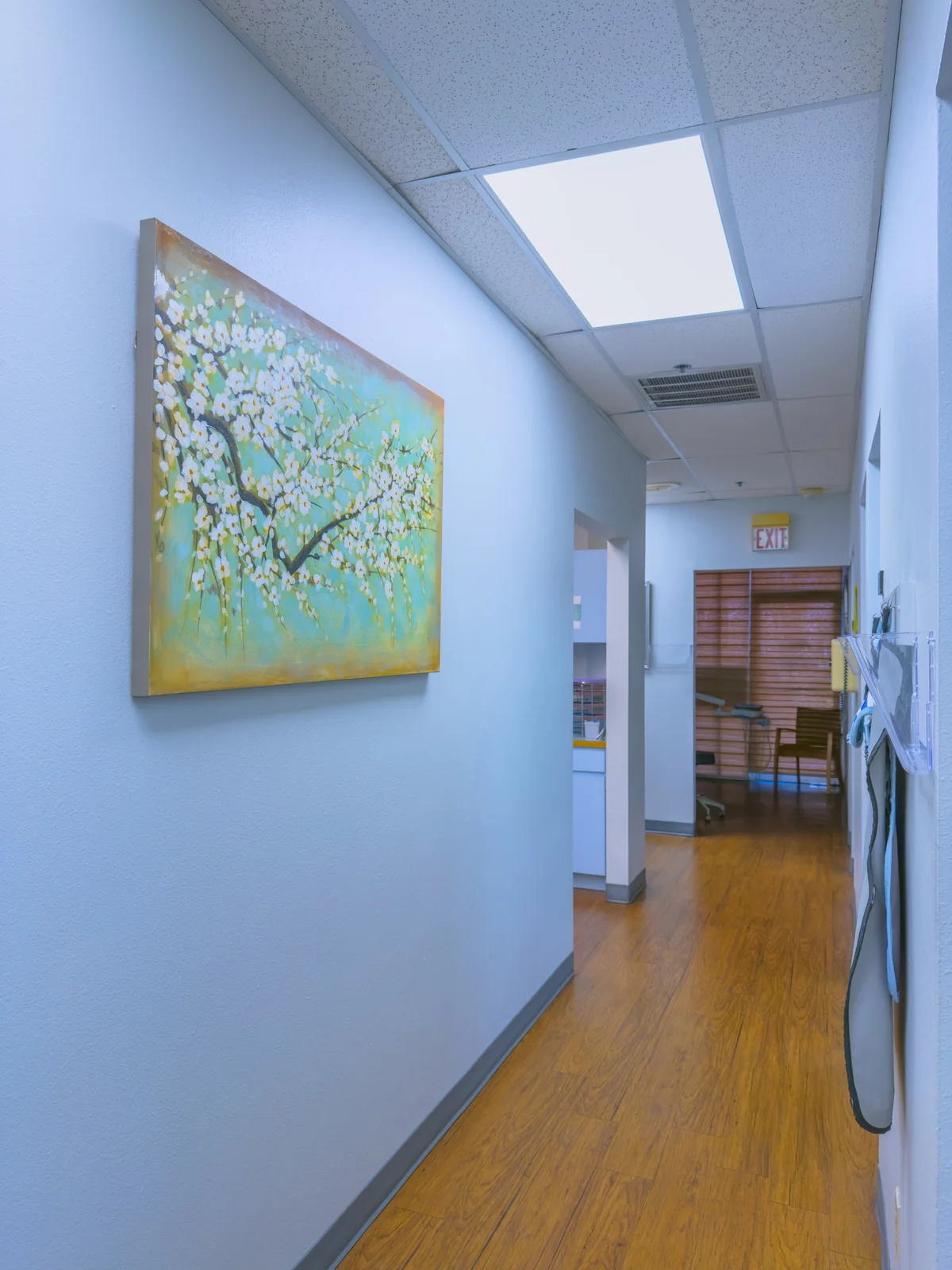 Art-lined hallway at Arlington Dental Associates